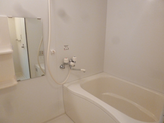 Ｎ・Ｓハイツ 風呂画像