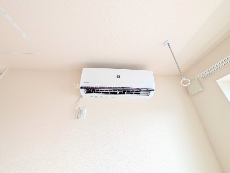 フェリスⅦ その他11