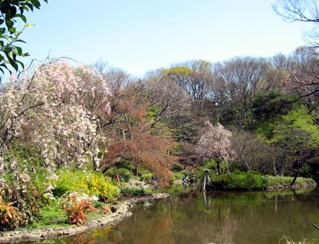 日興ロイヤルパレス広尾 公園