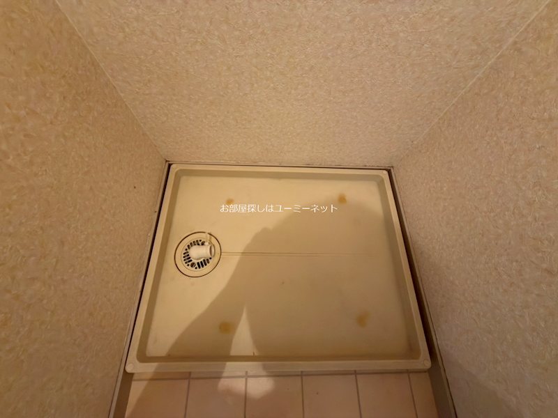 セジュールロマンⅡ その他