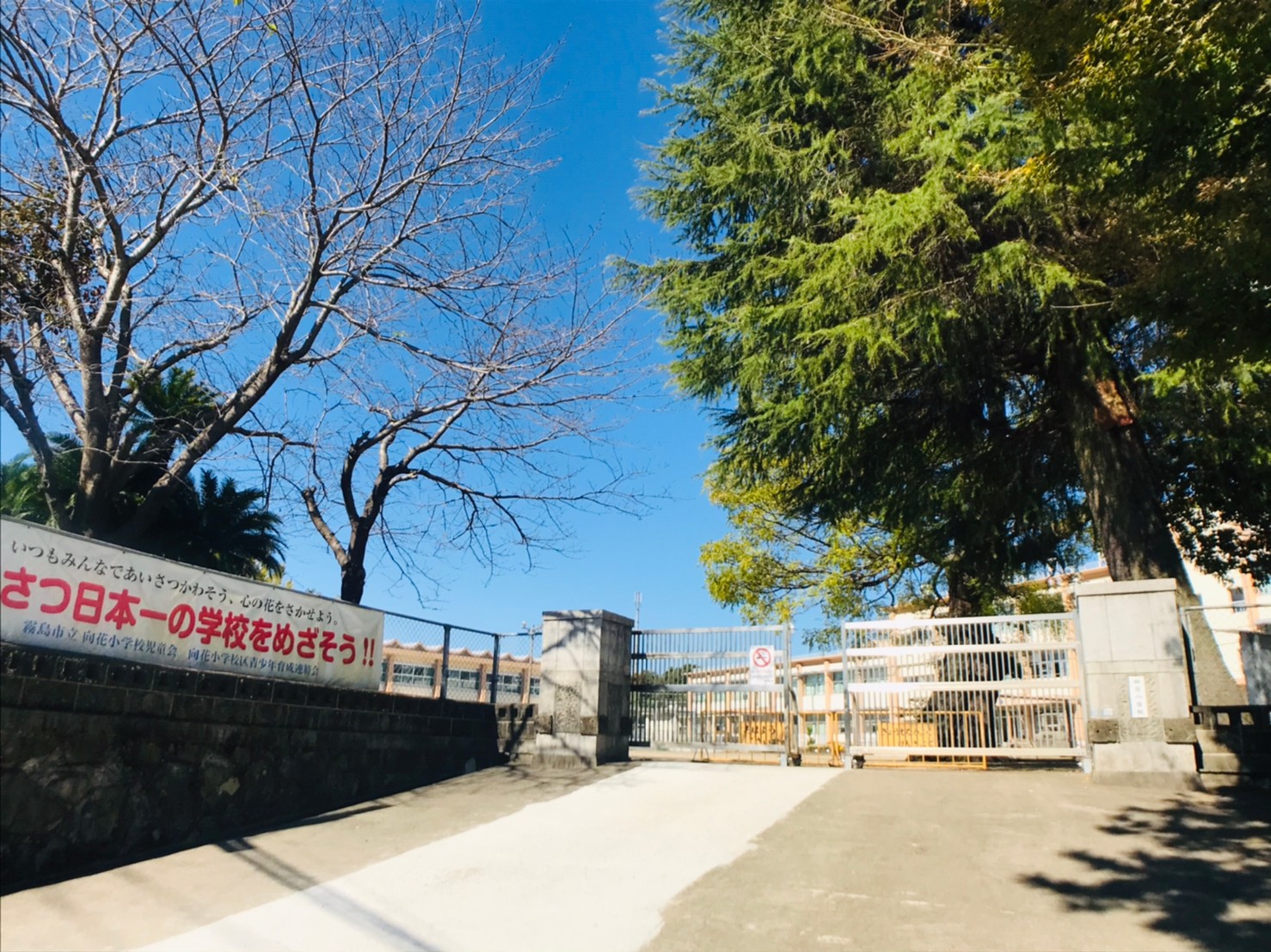 こすもす館 小学校