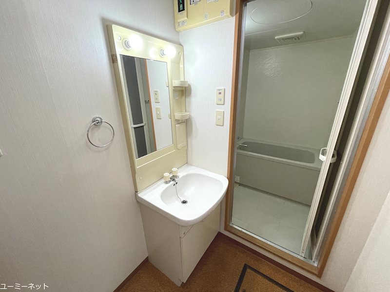 シャトー光の森D 洗面所