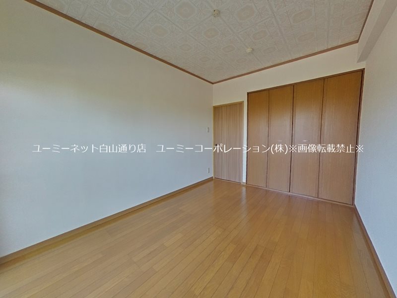 アイリステラモトⅡ その他