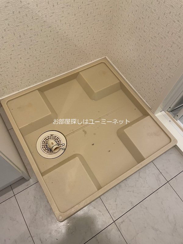 アヴニール その他