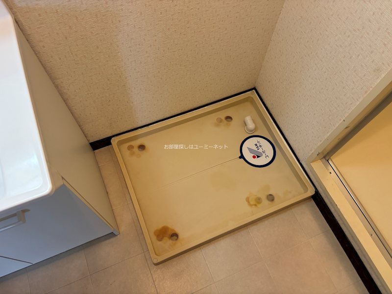アインドルックyanagita その他