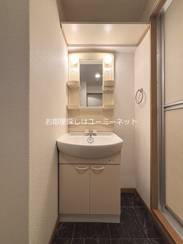 スプリングハイム 洗面所