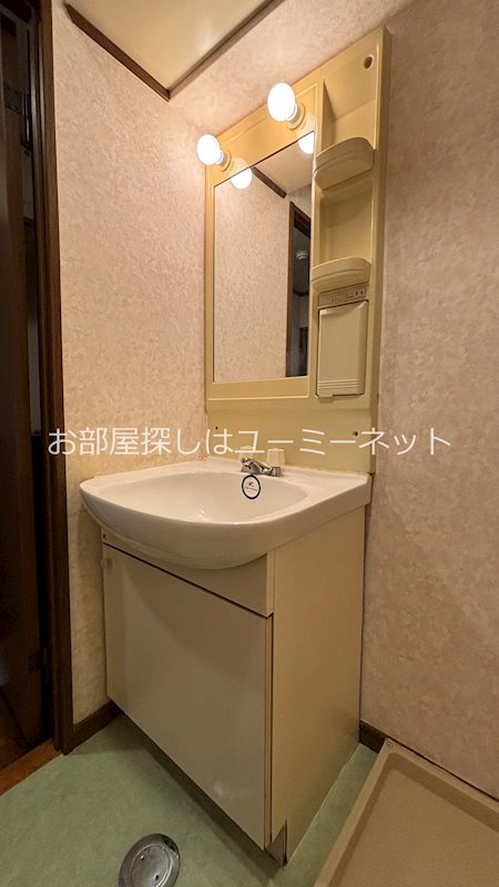 アネシスイン有川 洗面所