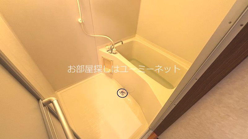 アネシスイン有川 風呂画像