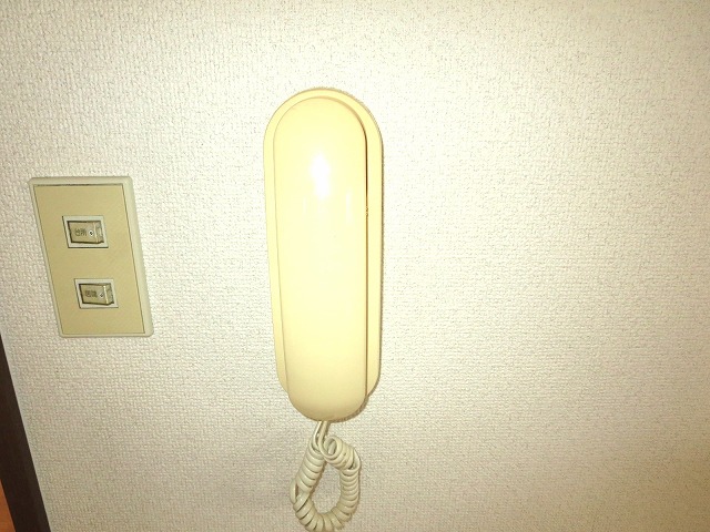 サンリッチ藤﨑 セキュリティ