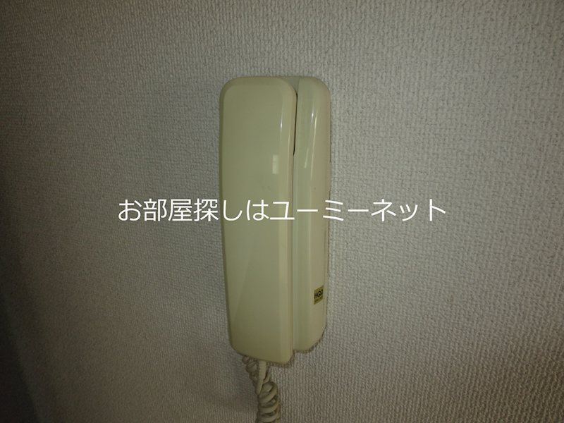 カーサ・デ・エクラン その他