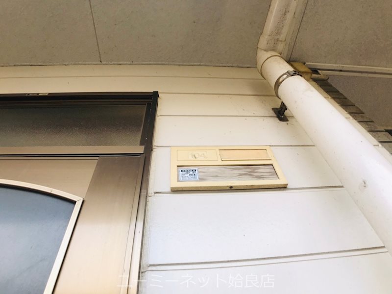 カミーリアアイラ その他