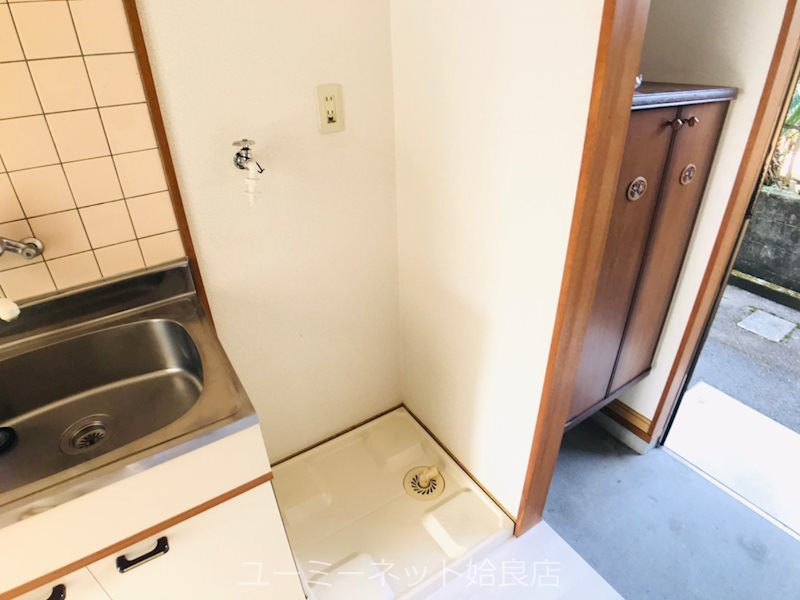 カミーリアアイラ その他