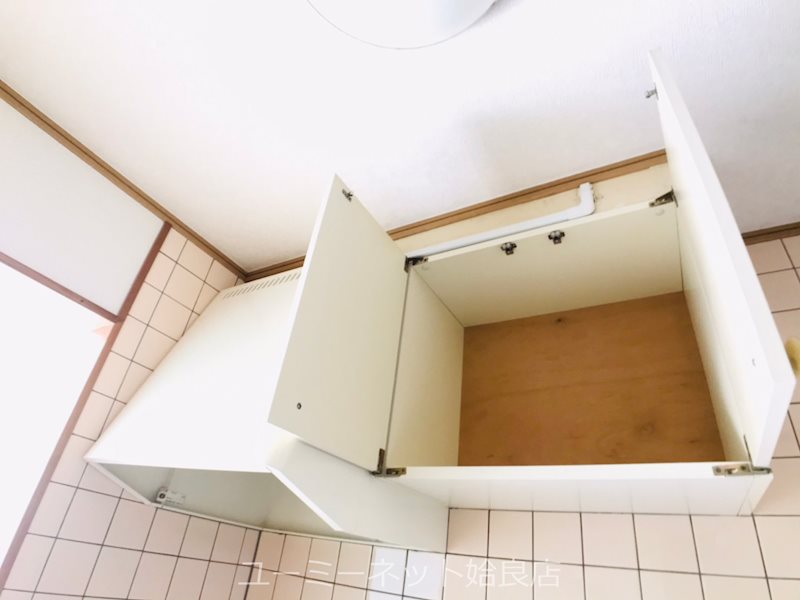 カミーリアアイラ その他