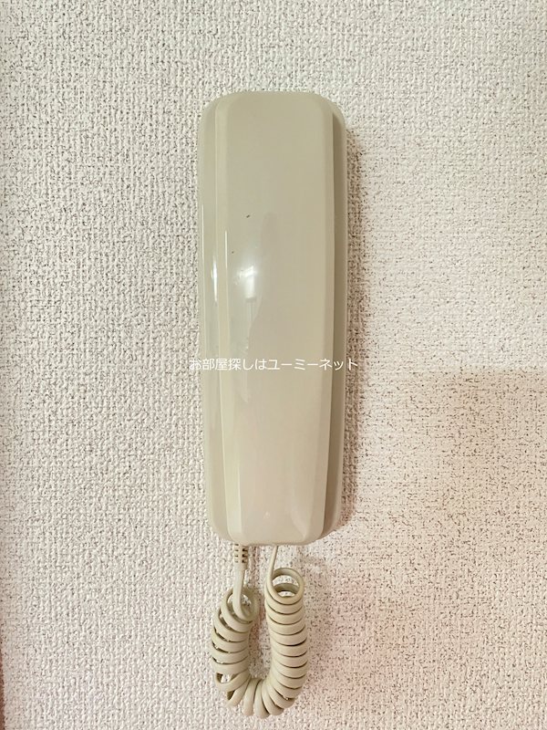 アイリスバレー セキュリティ