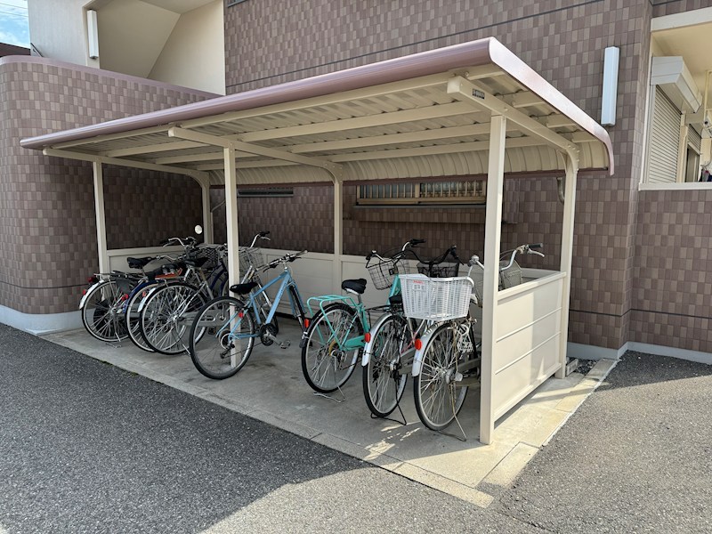 ユーミー若木 その他