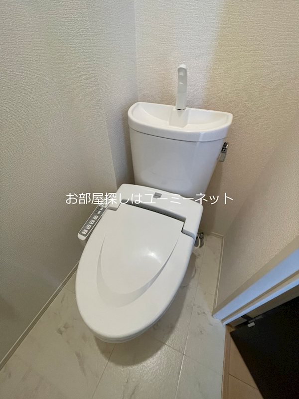 グラシュー その他
