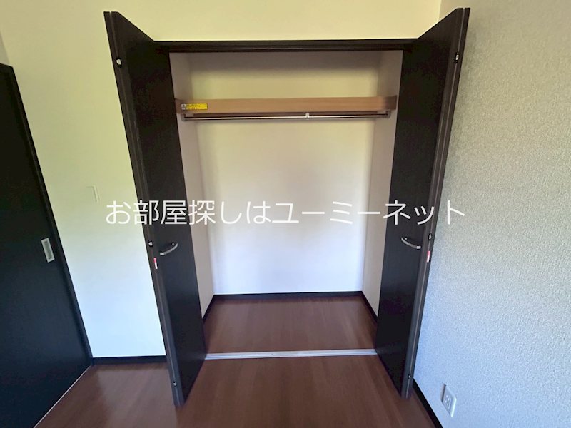 アマリリス 収納