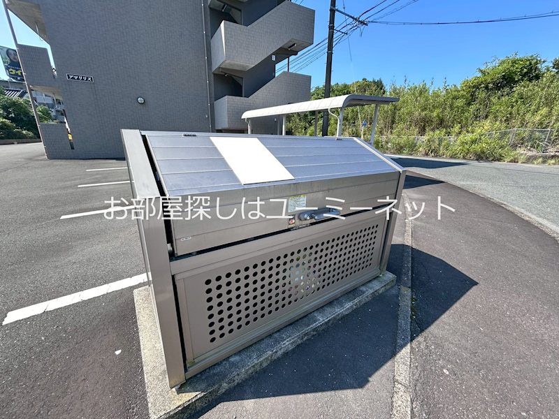 アマリリス その他