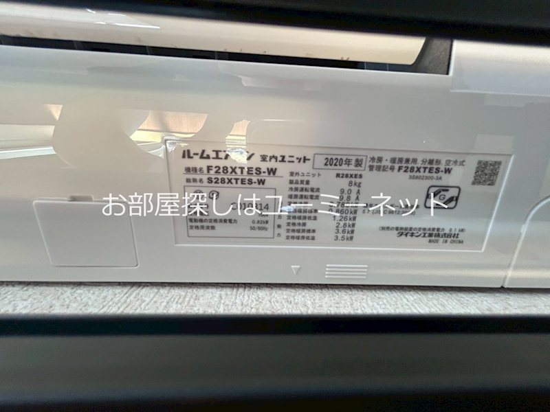 アマリリス その他