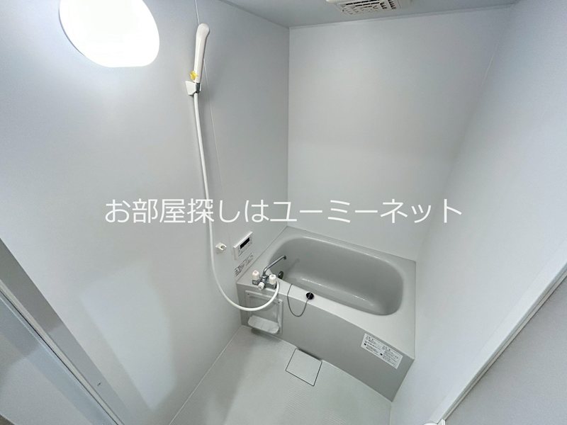 アマリリス 風呂画像