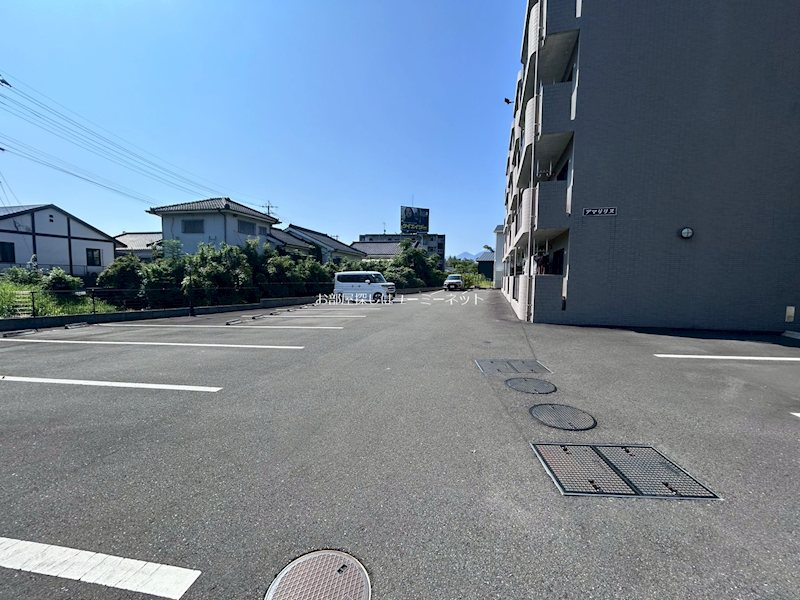 アマリリス その他