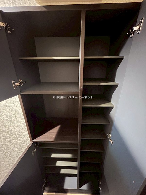 アマリリス その他