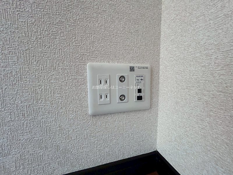 アマリリス その他