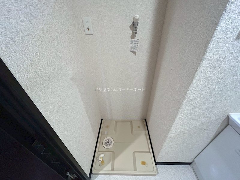 アマリリス その他