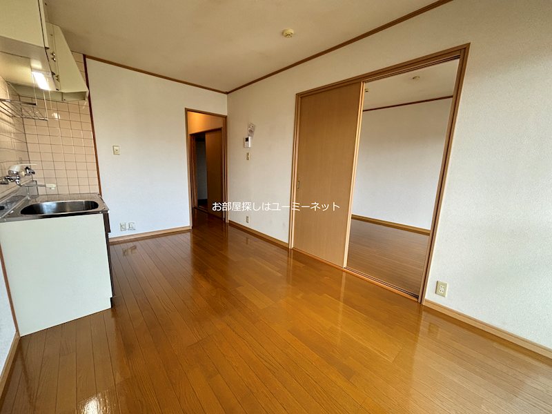 カミーリアアイラ その他