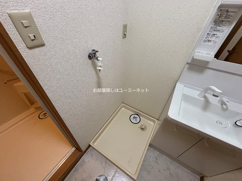 カミーリアアイラ その他