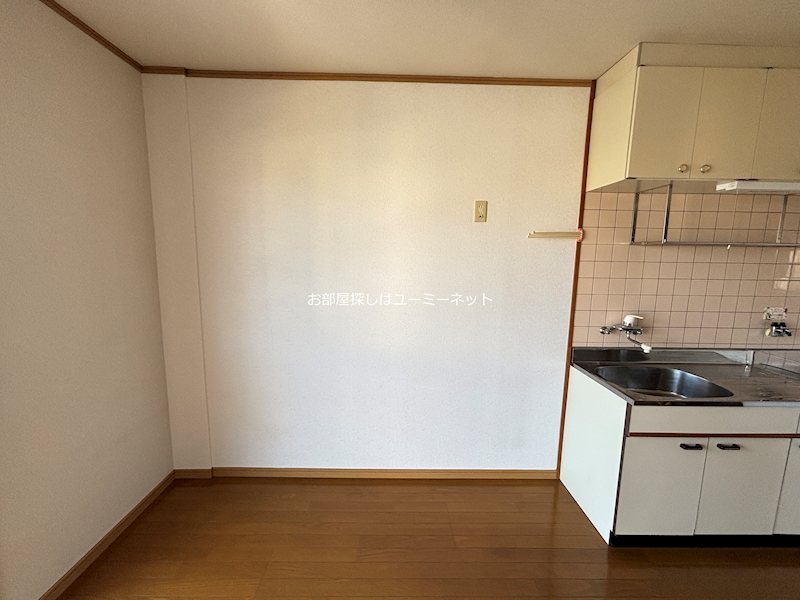 カミーリアアイラ その他