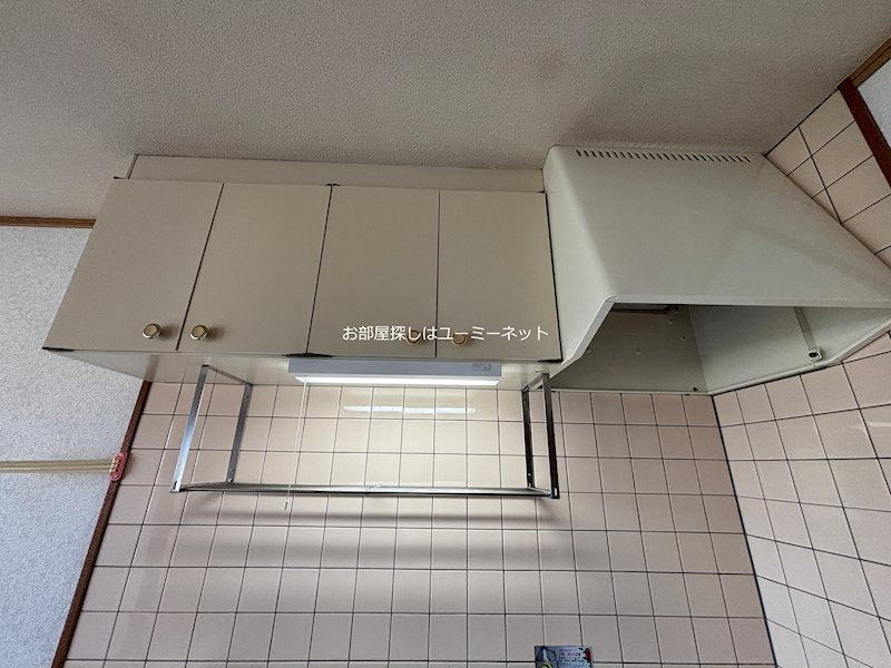 カミーリアアイラ その他