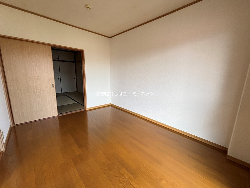 カミーリアアイラ その他