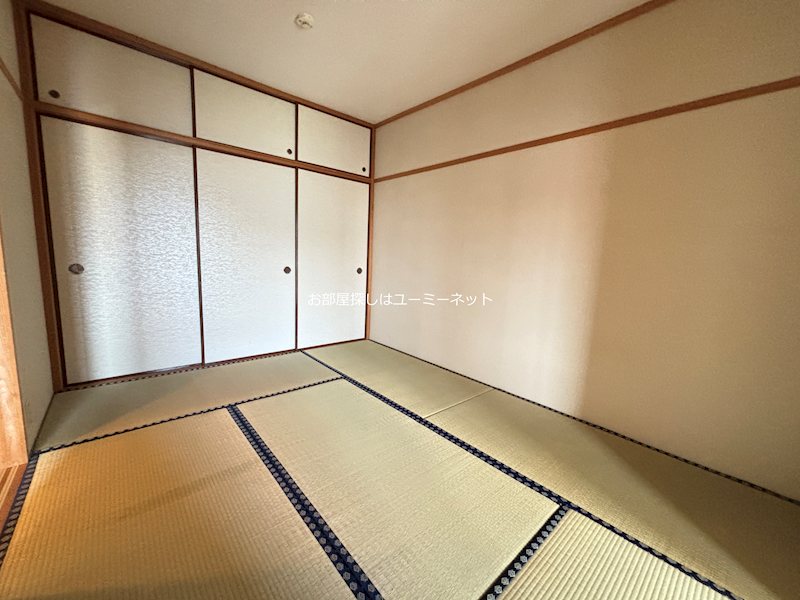 カミーリアアイラ その他