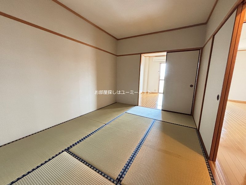 カミーリアアイラ その他