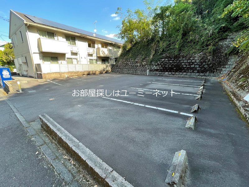 Sunflower hills その他