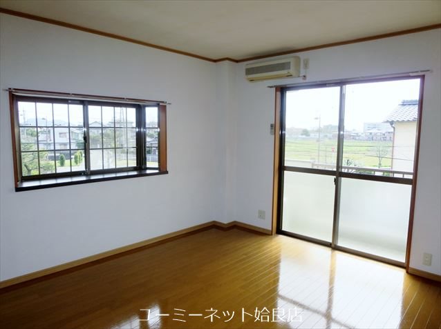カミーリアアイラ その他