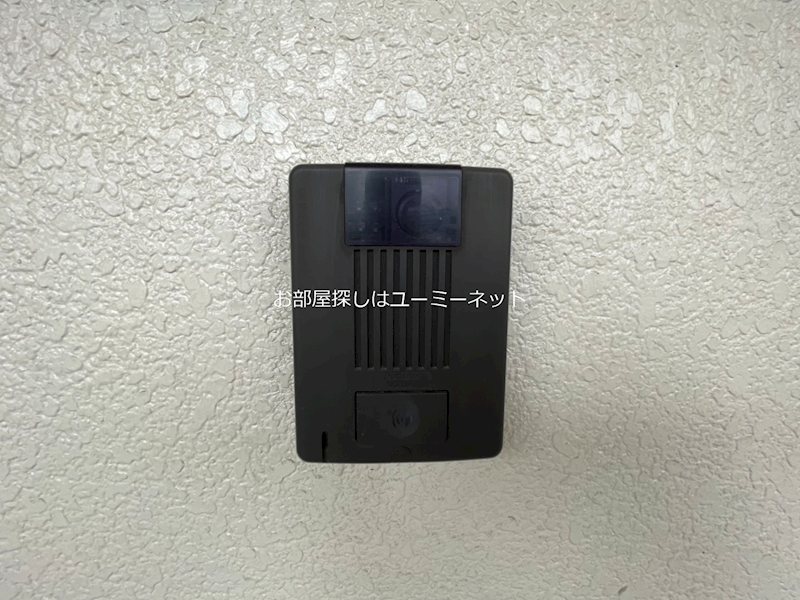 アクア その他
