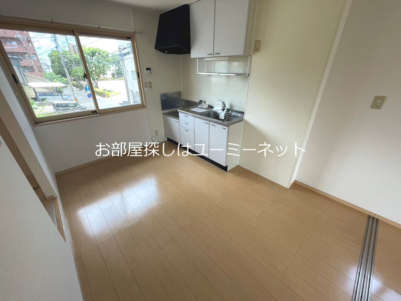 ウィルモアシュテアン その他