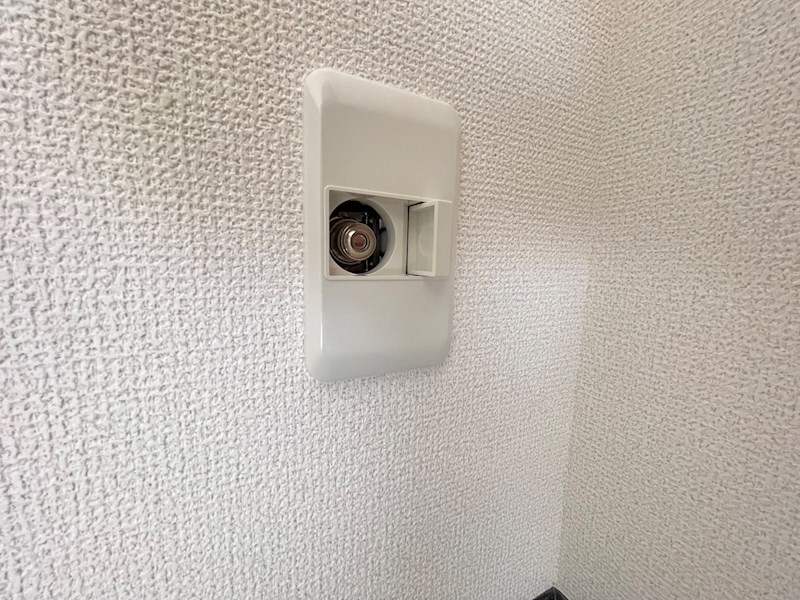 IRMS その他