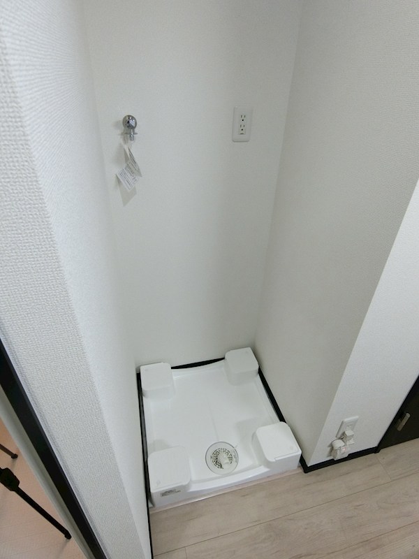 IRMS その他