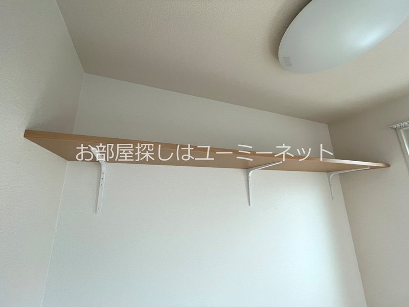 アペルトサピエンティア その他