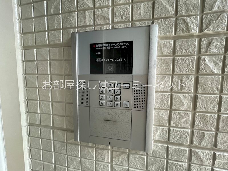 アペルトサピエンティア その他