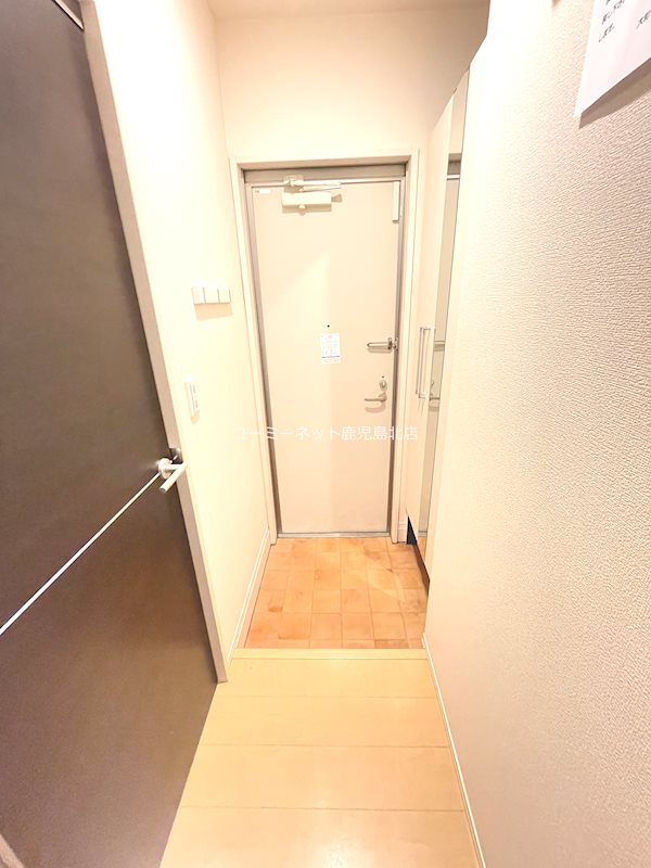 アペルトサピエンティア その他