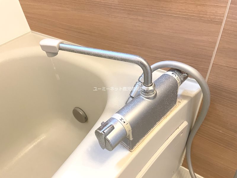 アペルトサピエンティア その他