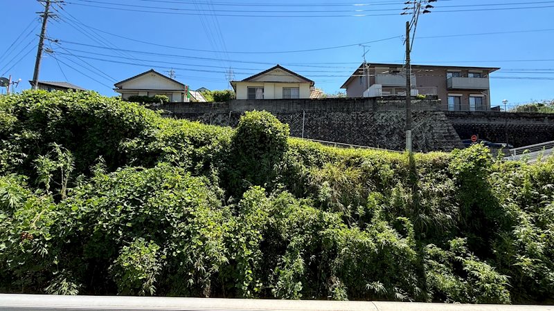 min若葉 眺望
