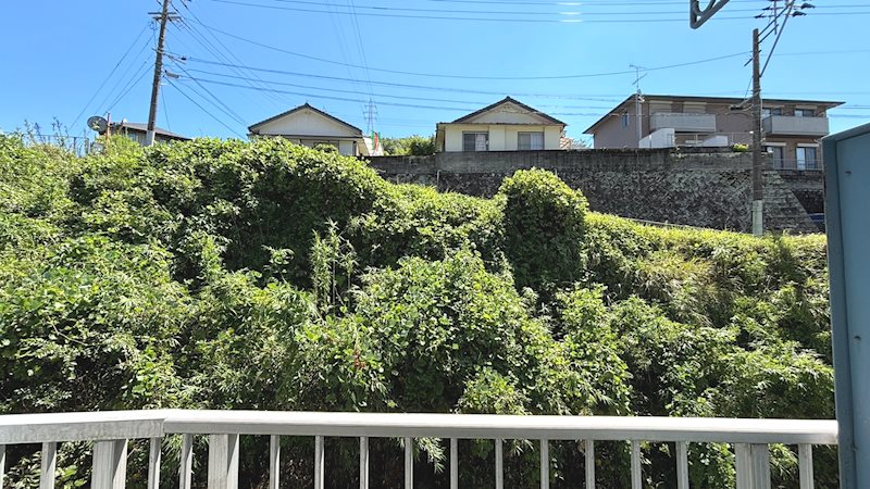 min若葉 眺望