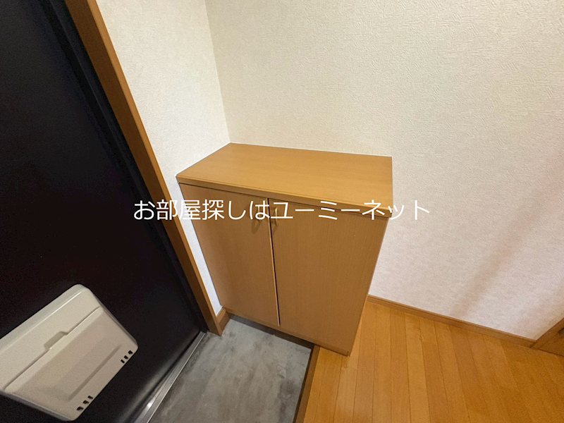 アムールF その他