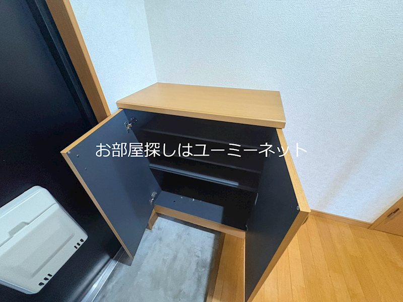アムールF その他