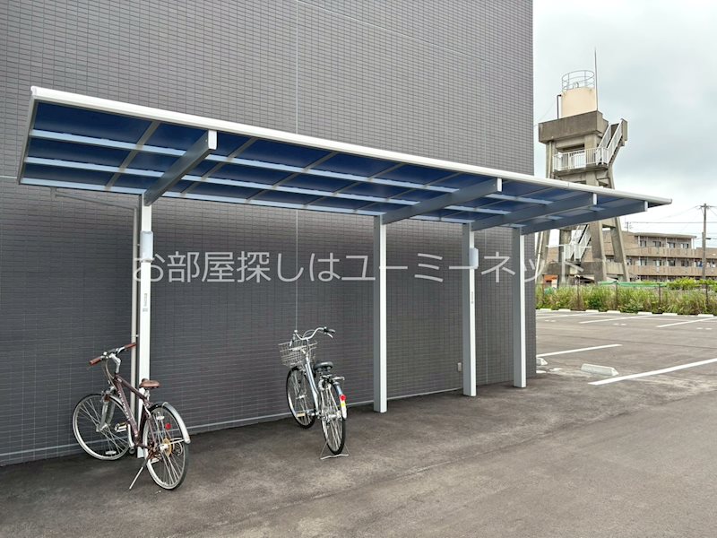 ＬＩＶＥ Ⅱ その他